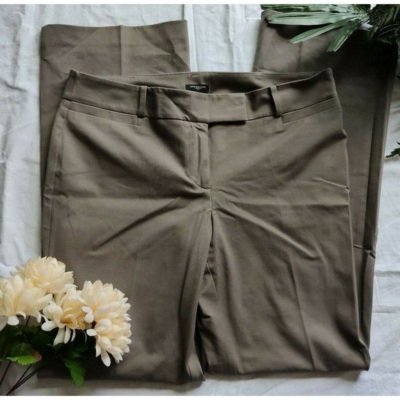 Pants - Ann Taylor Modern Fit Chino Pants Career Dress Slacks Brown Flat Front Size 10